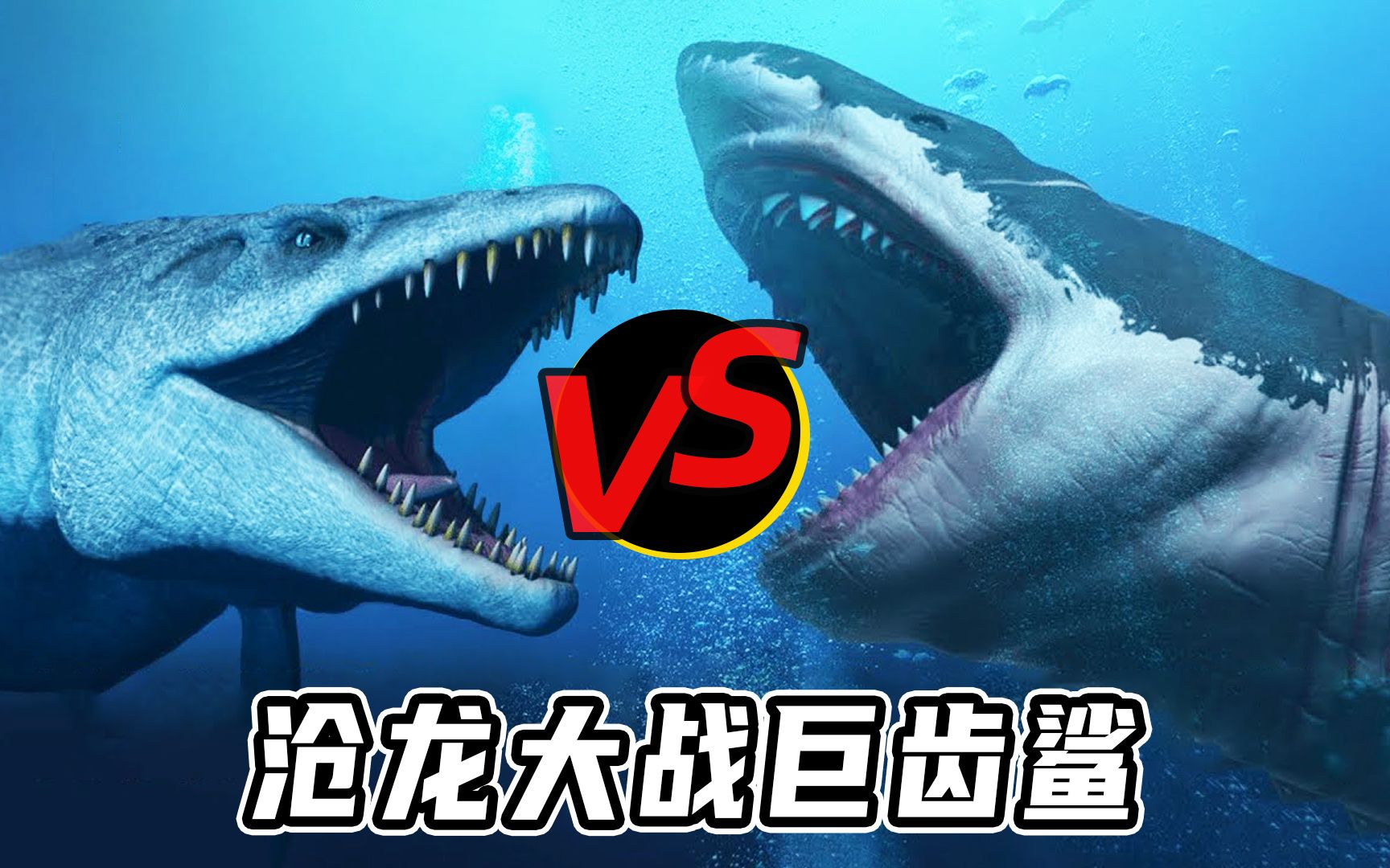 沧龙vs巨齿鲨,从5个维度分析,谁才是真正的海洋霸主?
