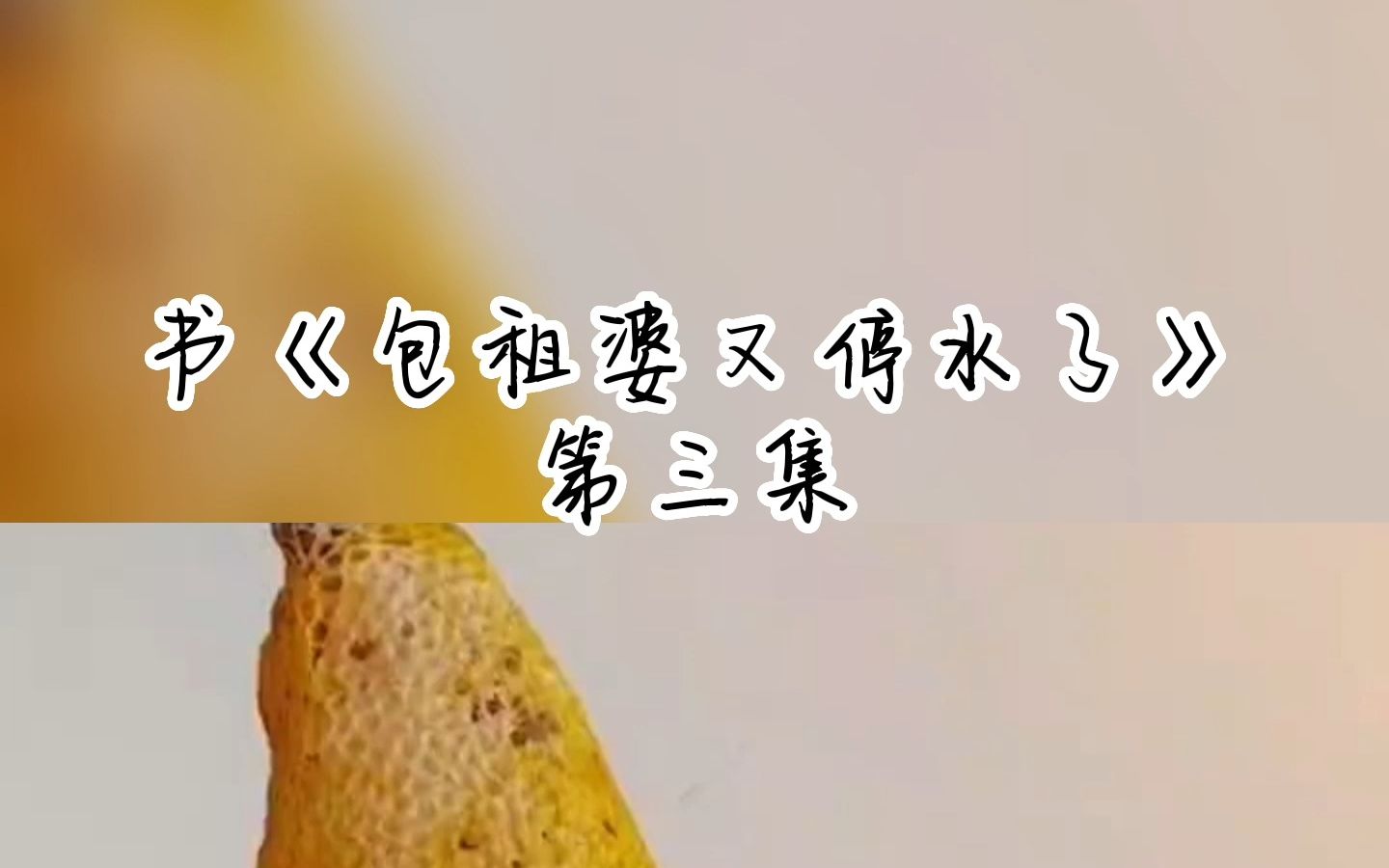 书《包租婆又停水了》第三集