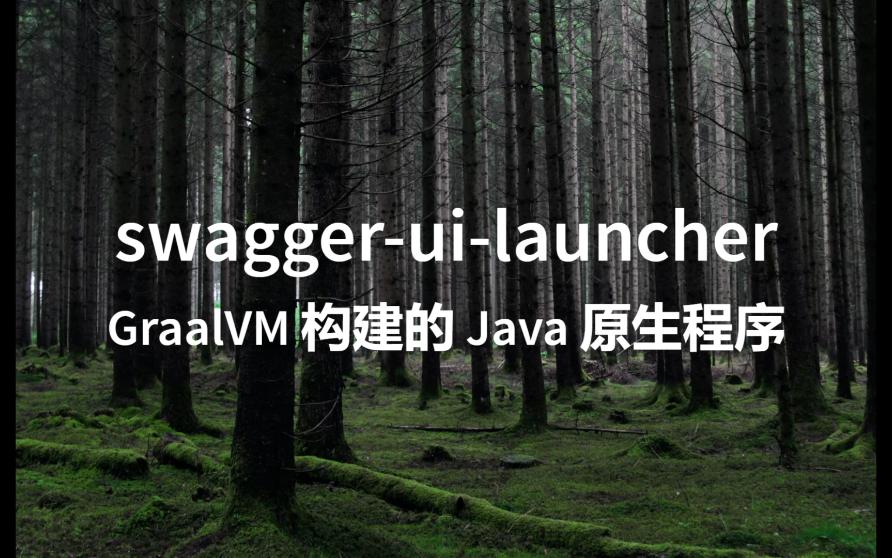 swaggeruilauncher,使用 GraalVM 构建的 Java 原生程序哔哩哔哩bilibili