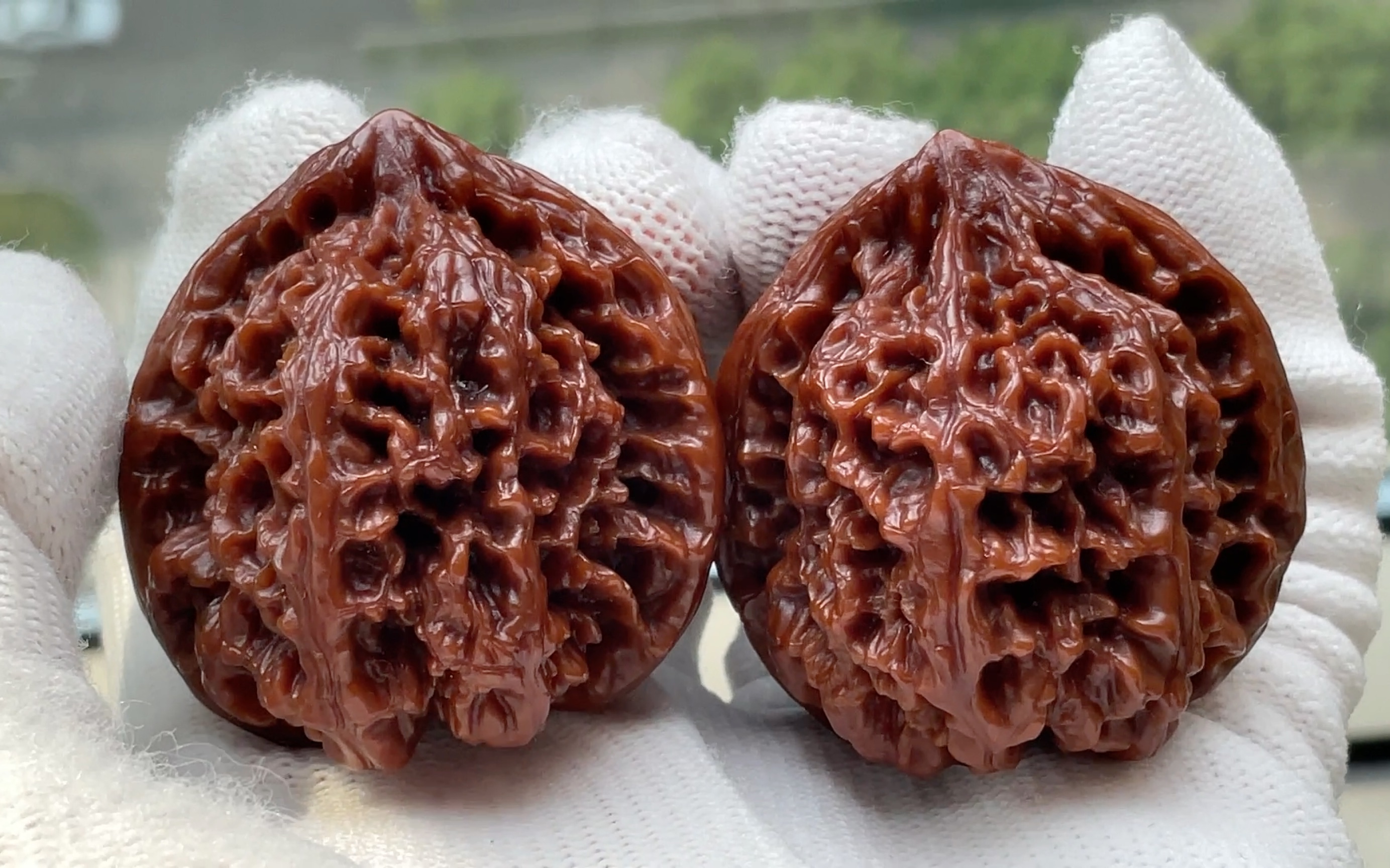 满肉全品大年份野牛狮子头