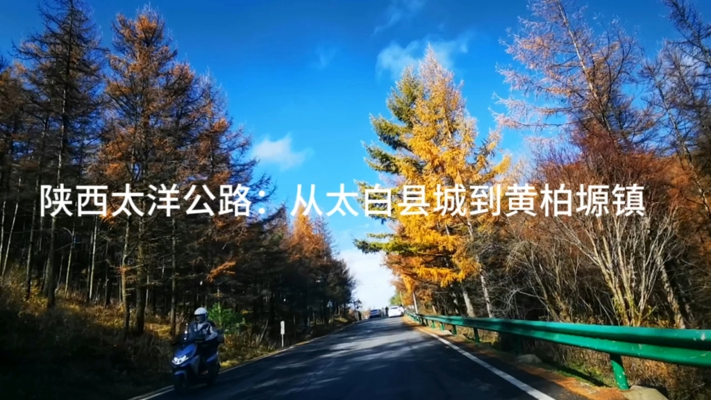 陕西太洋公路:从太白县城到黄柏塬镇哔哩哔哩bilibili