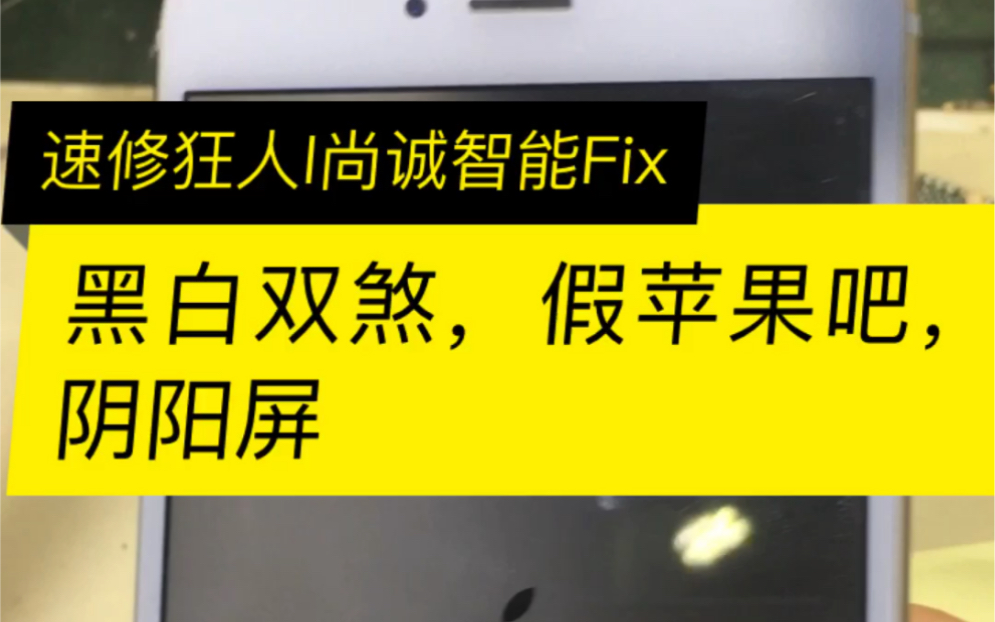 手机 屏幕 一半黑一半白 ,阴阳屏 手机维修哔哩哔哩bilibili