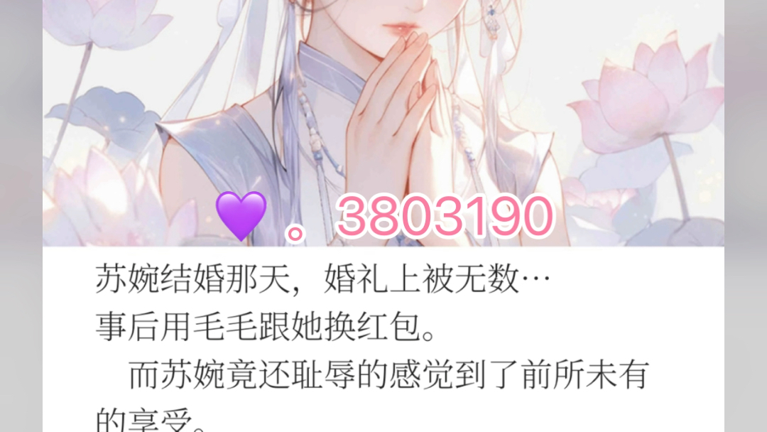 《女秘书的故事》苏婉《女秘书的故事》苏婉小说哔哩哔哩bilibili