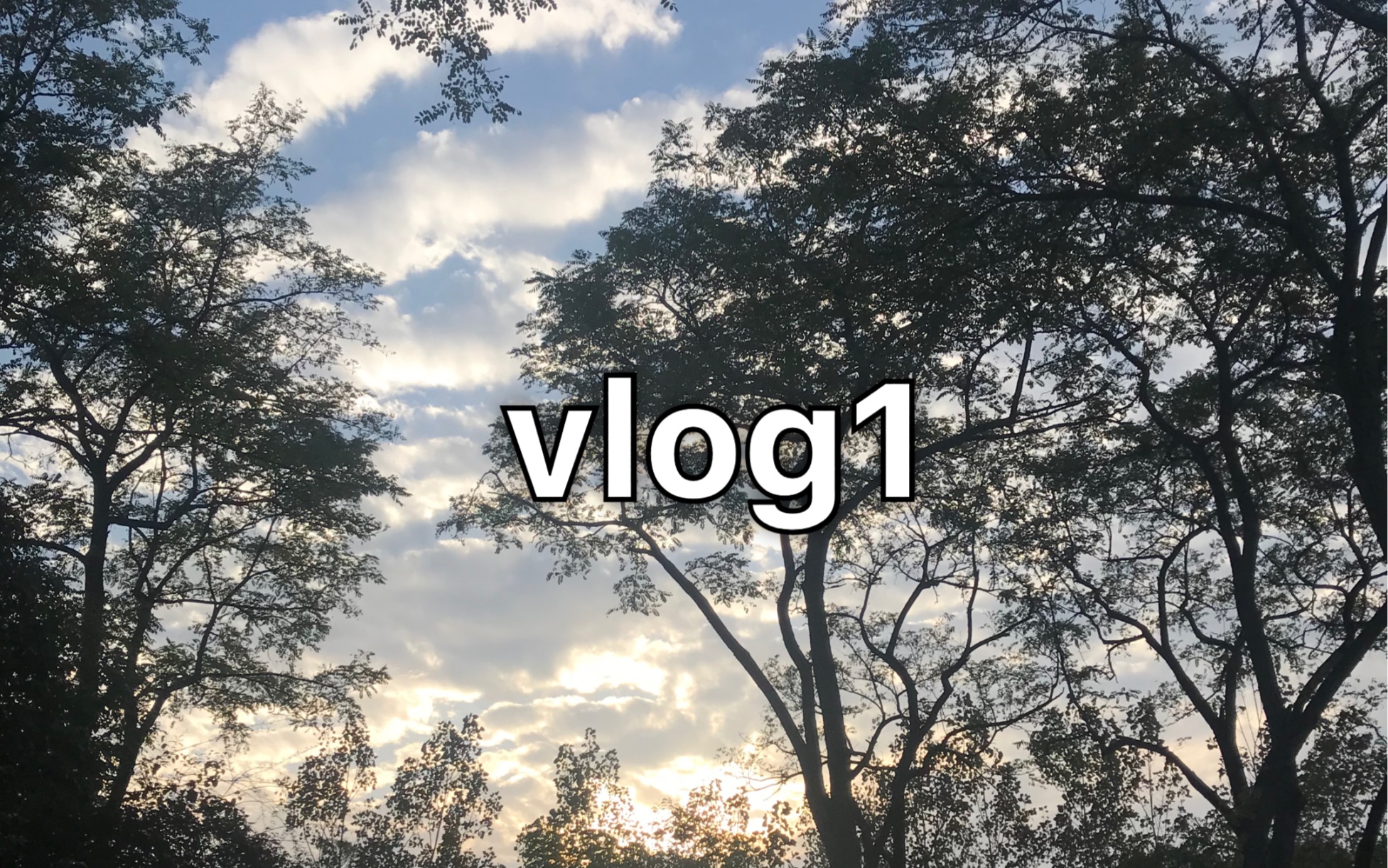 vlog1|图书馆学韩语|M记背IETLS|初尝试哔哩哔哩bilibili