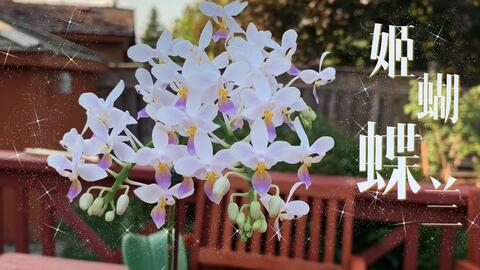 搜索 哔哩哔哩 つロ干杯 Bilibili