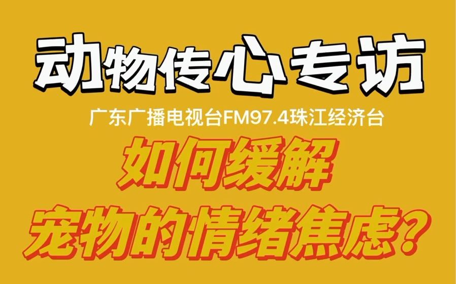 [图]【动物传心专访】——广东广播电视台珠江经济台“你好，铲屎官”栏目组采访