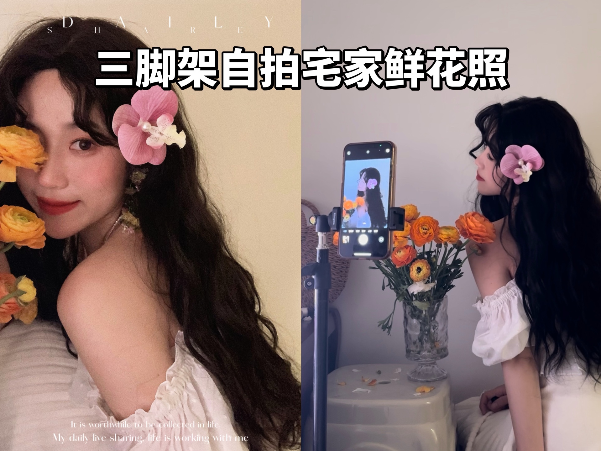 宅家如何用支架自拍春日鲜花照哔哩哔哩bilibili