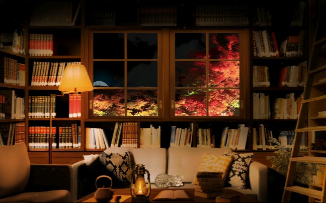 【白噪音】一个人在月光照射下的"宵室"里安静地学习|夜晚温馨的书房