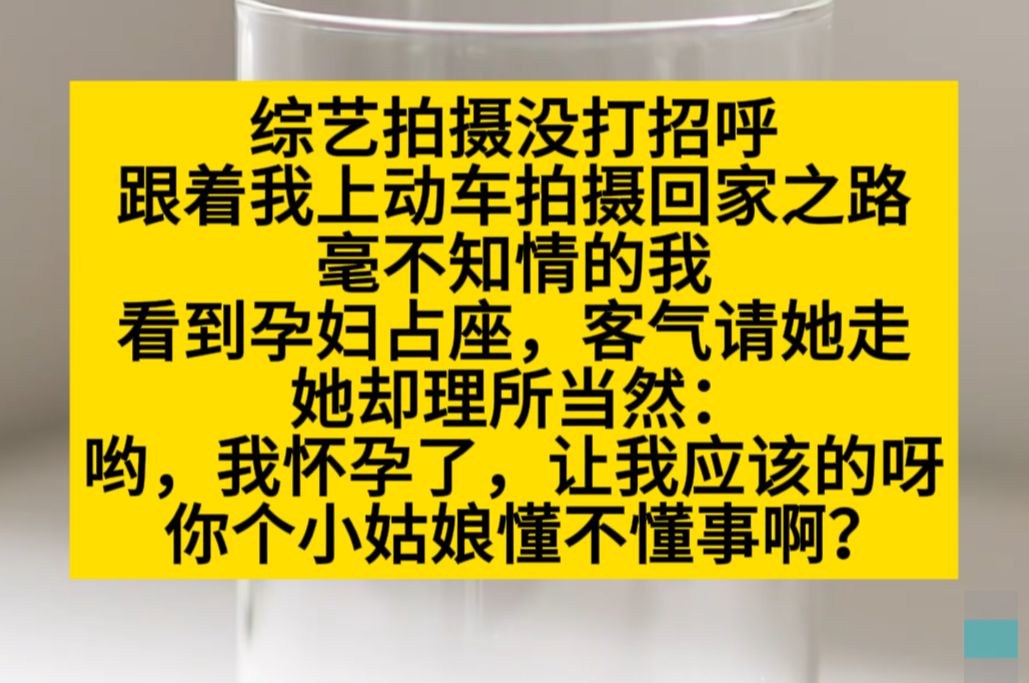 综艺拍摄没打招呼,刚好拍到我做高铁遇到孕妇霸座!小说推荐哔哩哔哩bilibili