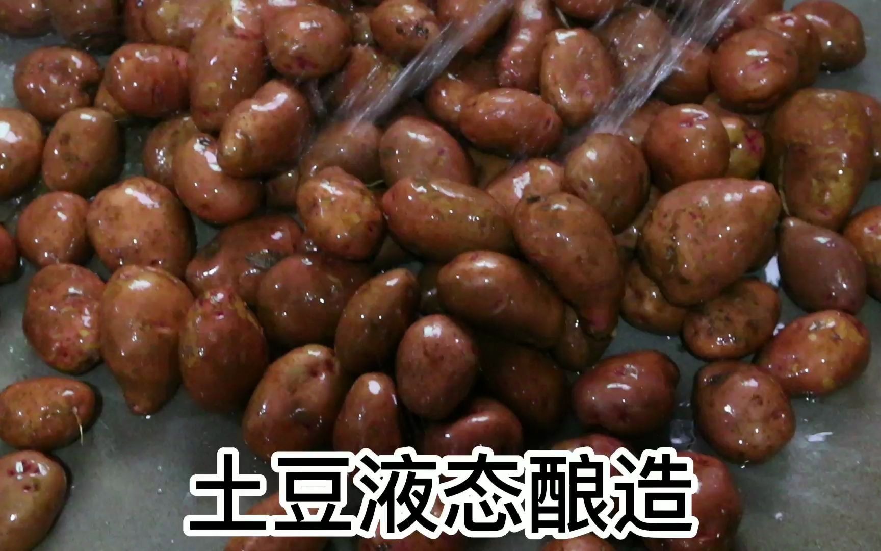 土豆也可以酿酒,雅大酿酒设备厂之土豆酒的酿造方法哔哩哔哩bilibili