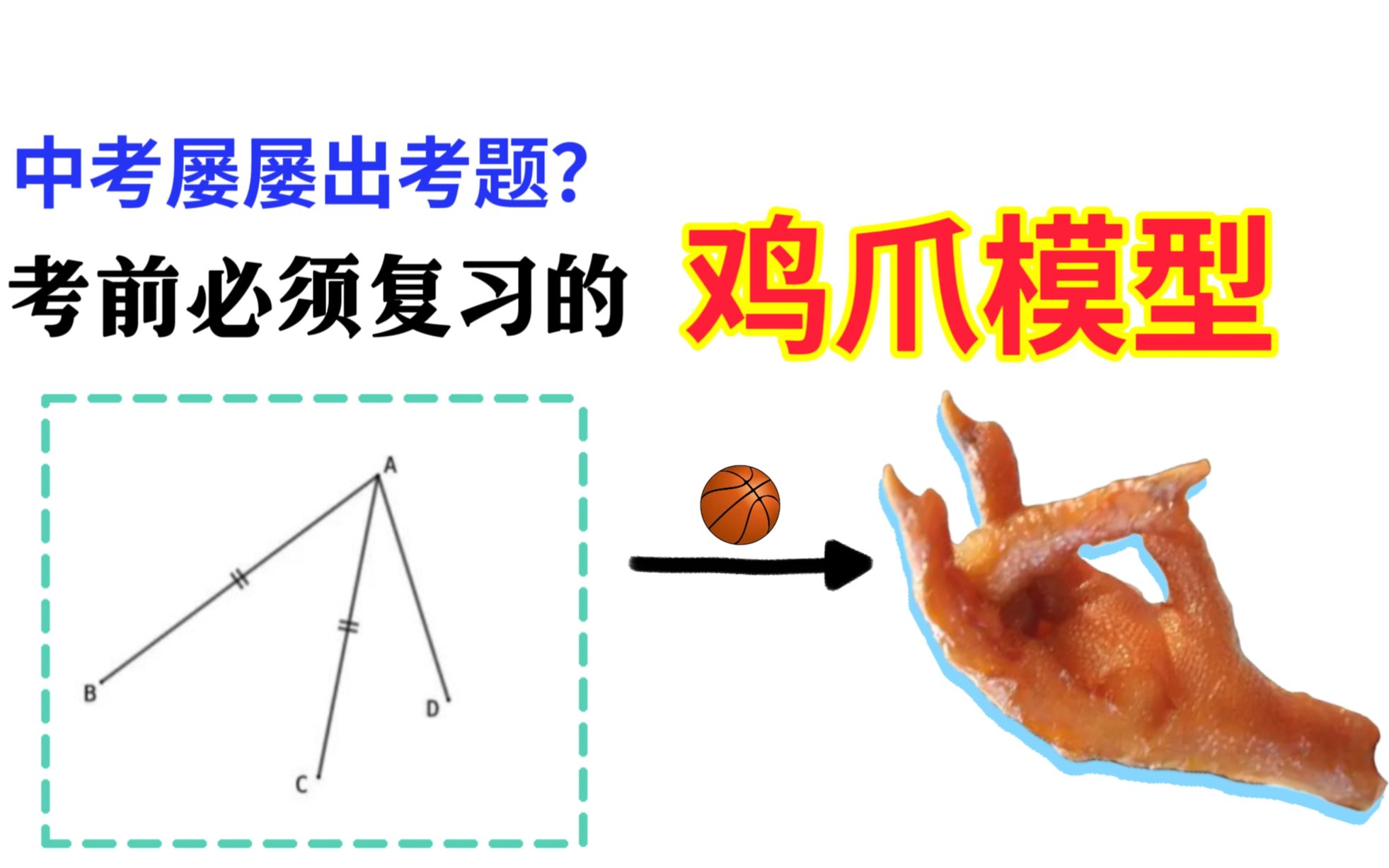 数学爪形模型图片