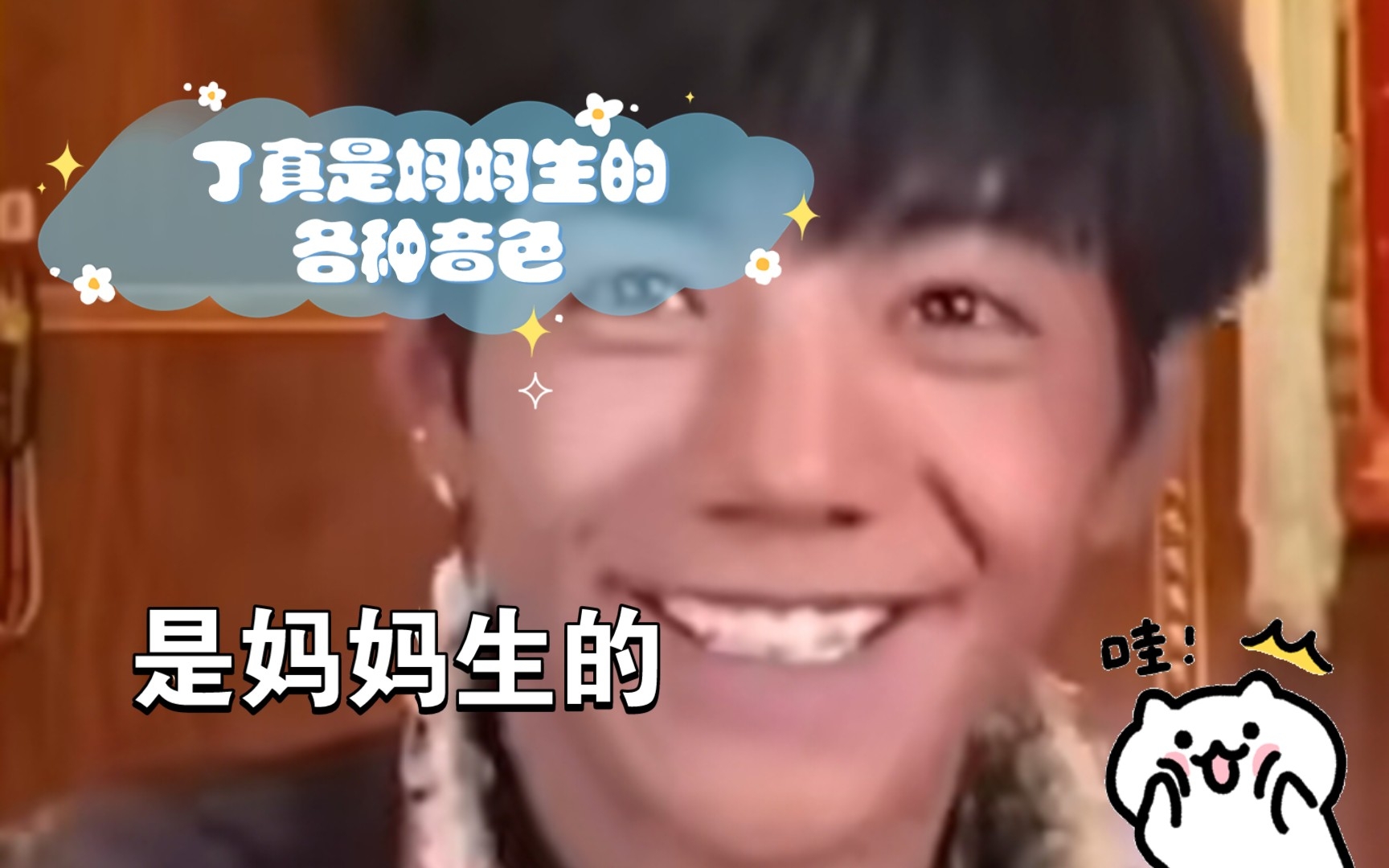 丁真是妈妈生的各种音色