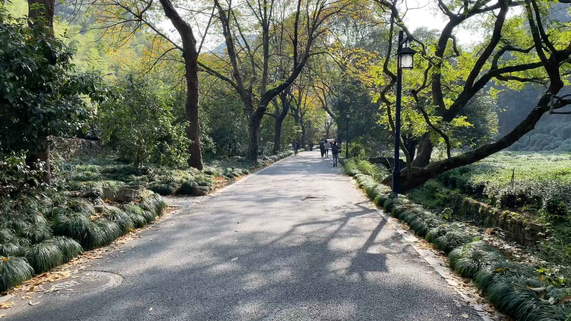 西湖游步道,一步一景