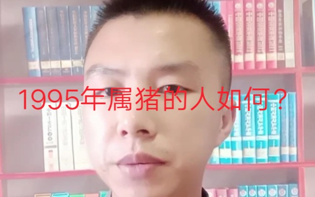 出生于1995年属猪的人怎么样?哔哩哔哩bilibili