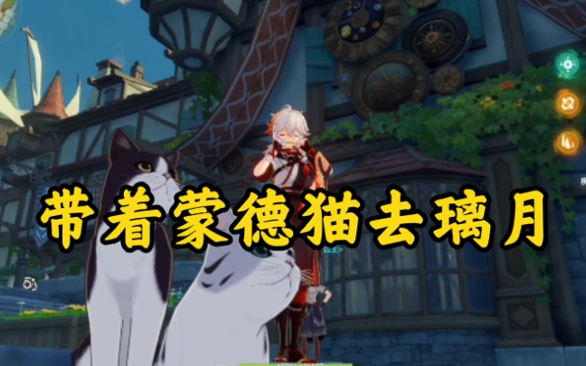 活动  《原神》带着蒙德的猫去璃月,半路竟被阻拦