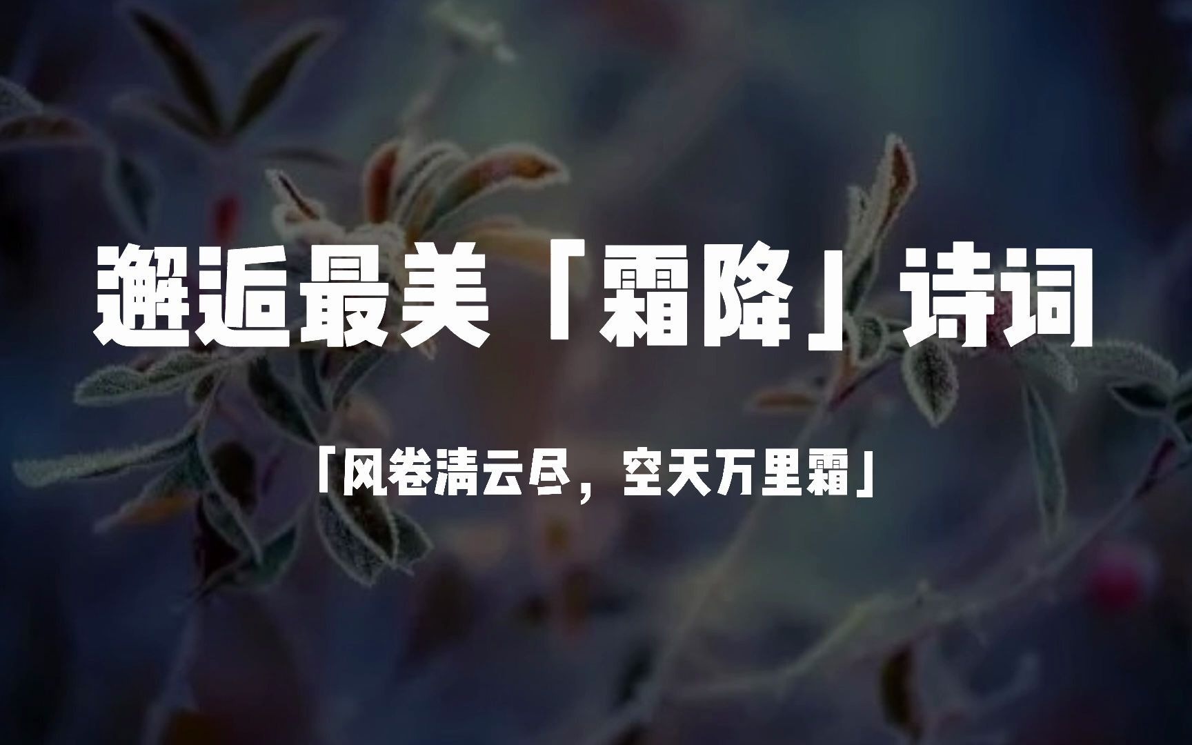 “风卷清云尽,空天万里霜.”||霜降节气诗词哔哩哔哩bilibili