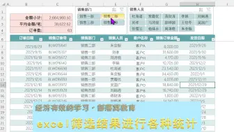 excel筛选结果进行各种统计