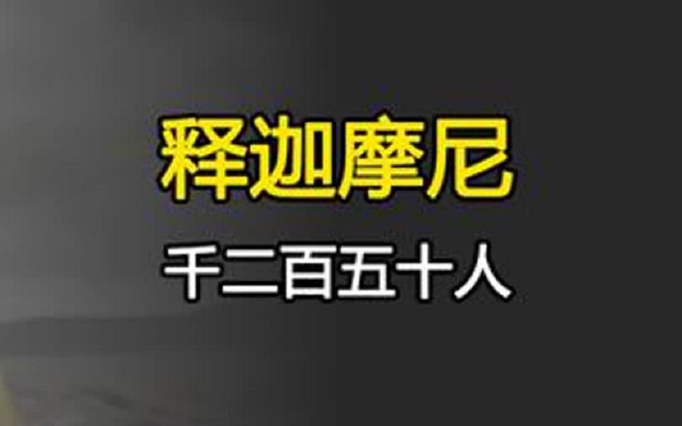 不论佛陀在哪里,为什么都是与大比丘众,千二百五十人俱呢?哔哩哔哩bilibili