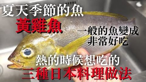 【台湾黄鸡鱼日本料理】外面很热，没食欲的时候也这些味道的话一定会吃　用台湾的黄鸡鱼介绍三种不同口味日本料理做法