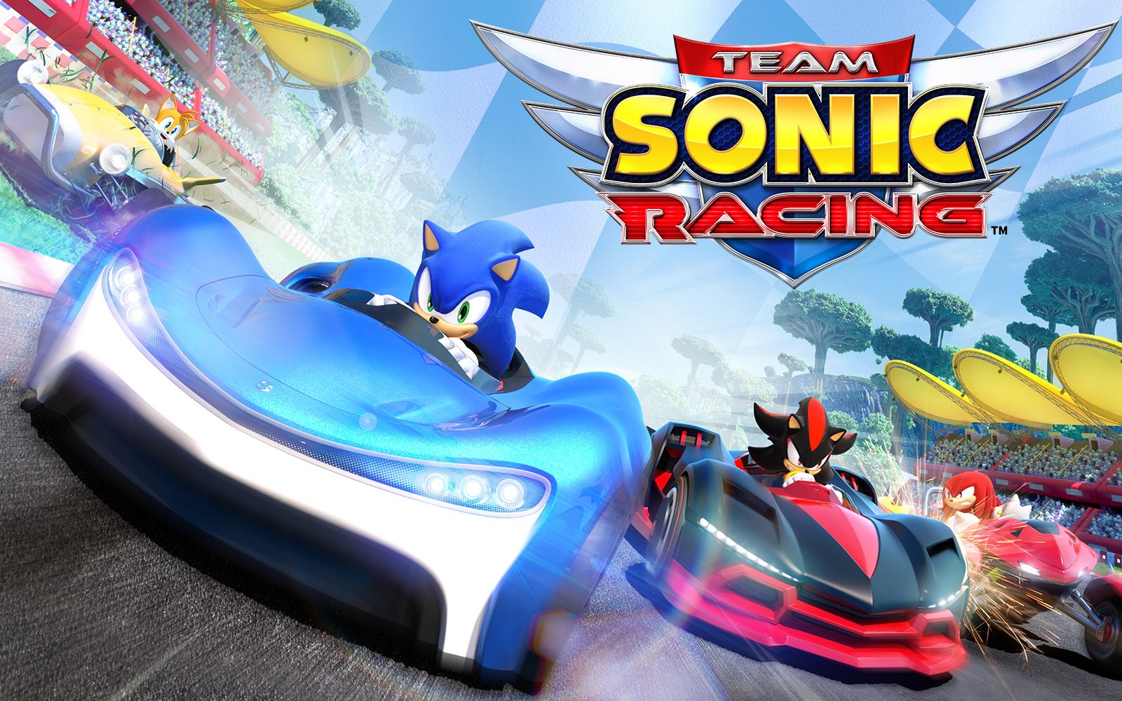 [图]索尼克团队赛车(Team Sonic Racing)随便玩玩