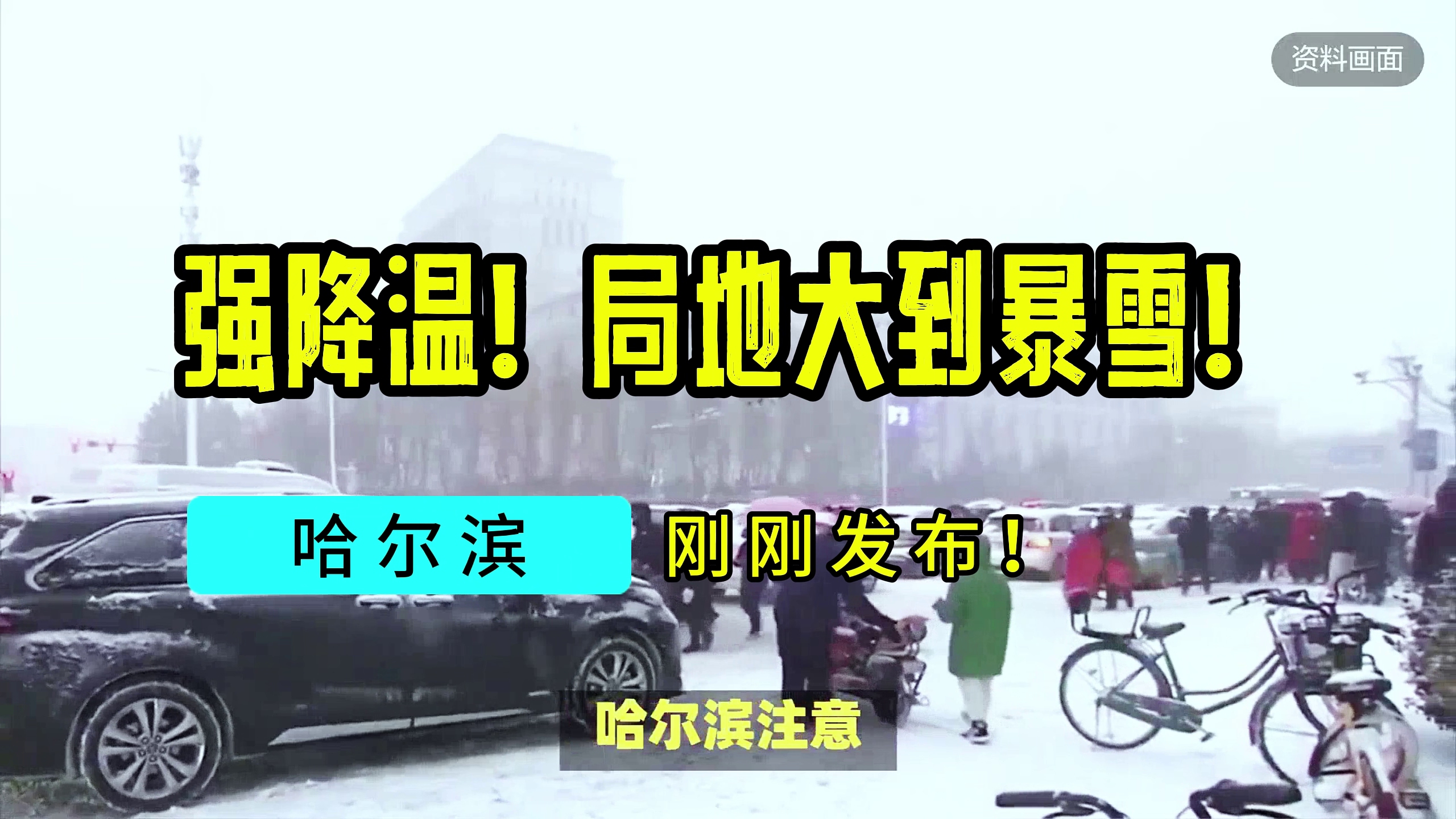 强降温!局地大到暴雪!哈尔滨刚刚发布!哔哩哔哩bilibili