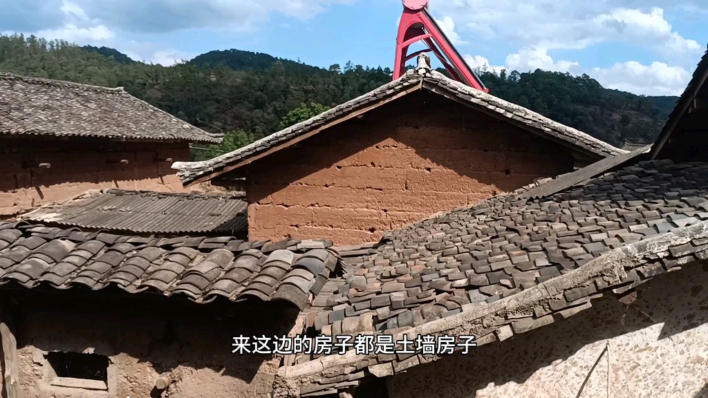 到大山深处去看凉山猎犬,白天狗儿都跟主人放羊或者满山跑出去了哔哩哔哩bilibili