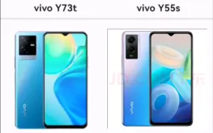 Download Video: vivo Y73t 与vivo Y55s 参数对比(手机性能排行)