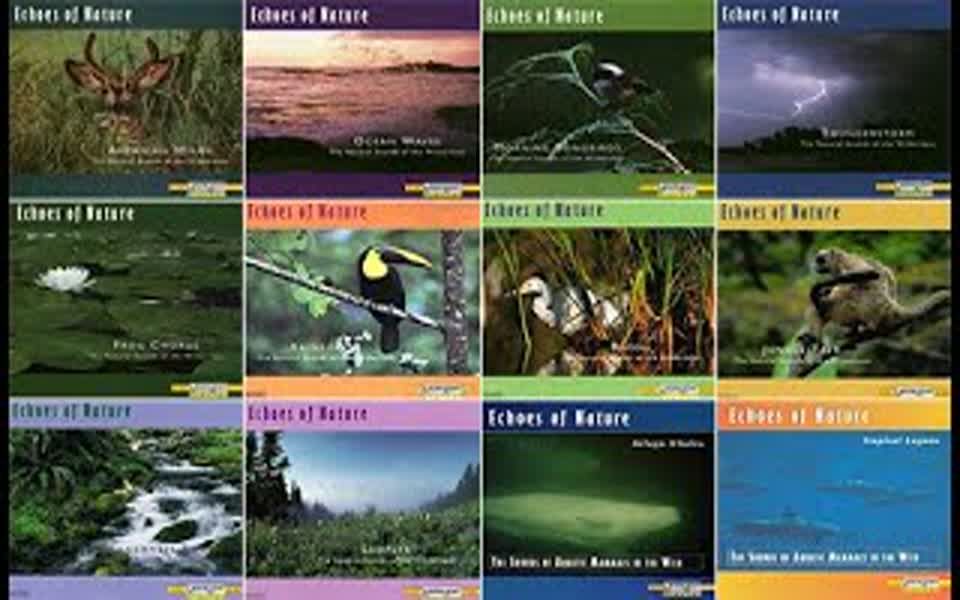 [图]聆听大自然12CDs - Echoes Of Nature Sounds 11'23''15s _Morning SongbirdsThunderstormSa