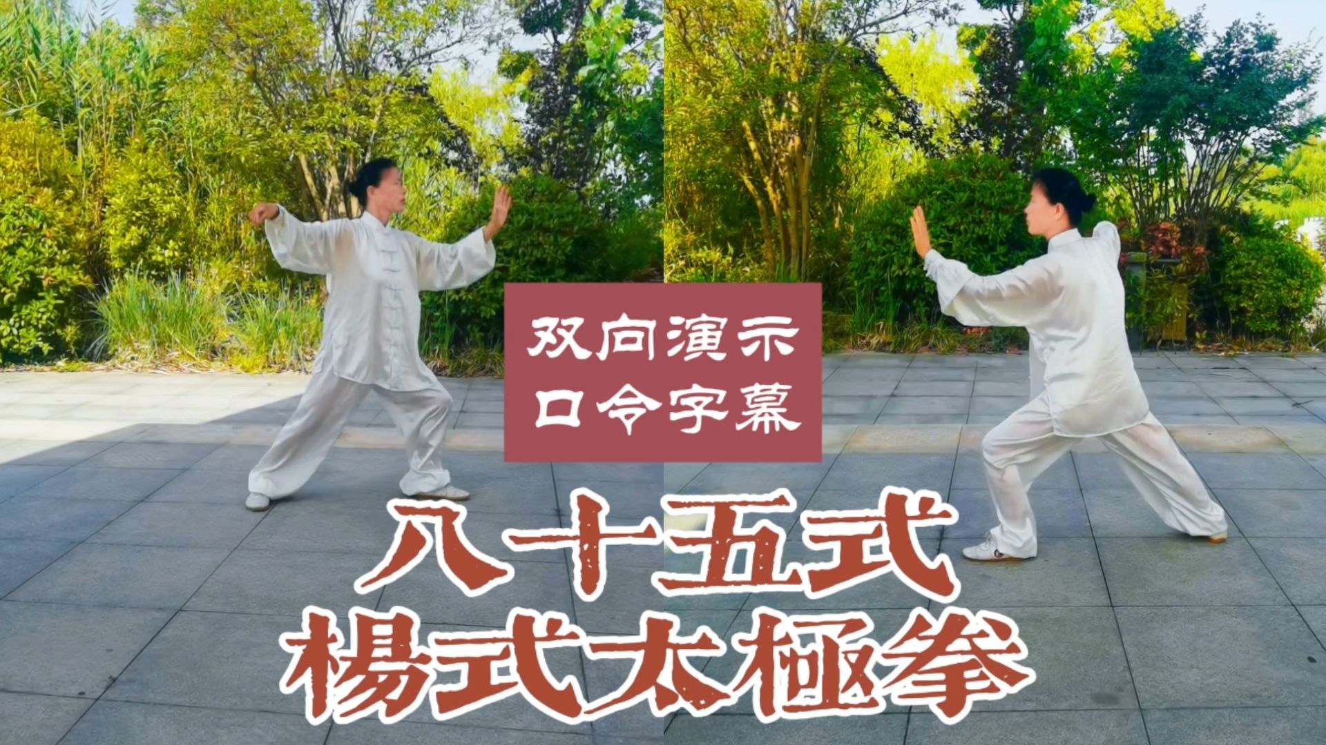 八十五式传统杨式太极拳正面背面双向对照演示(标准口令字幕)哔哩哔哩bilibili