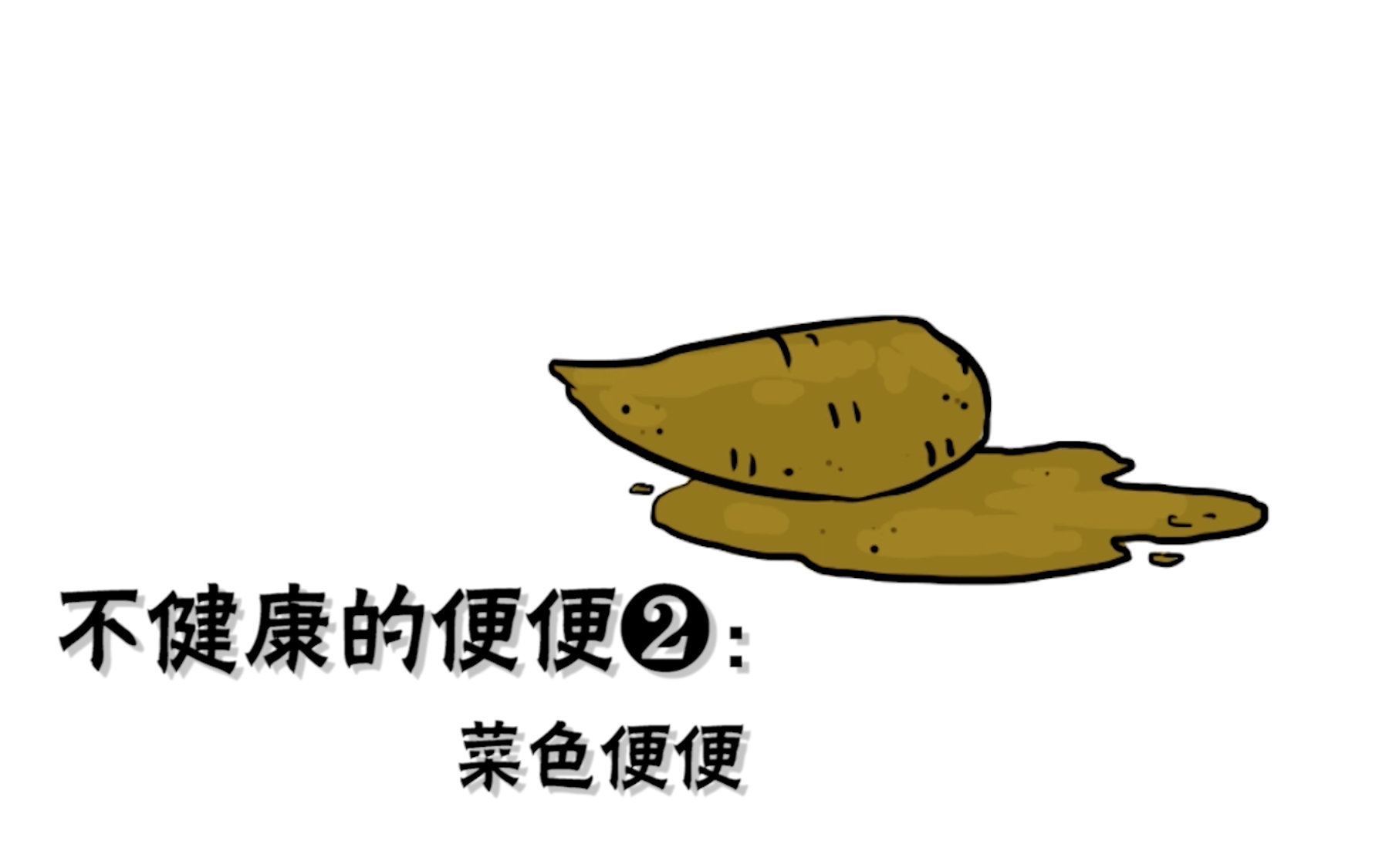 狗狗便便的奥秘