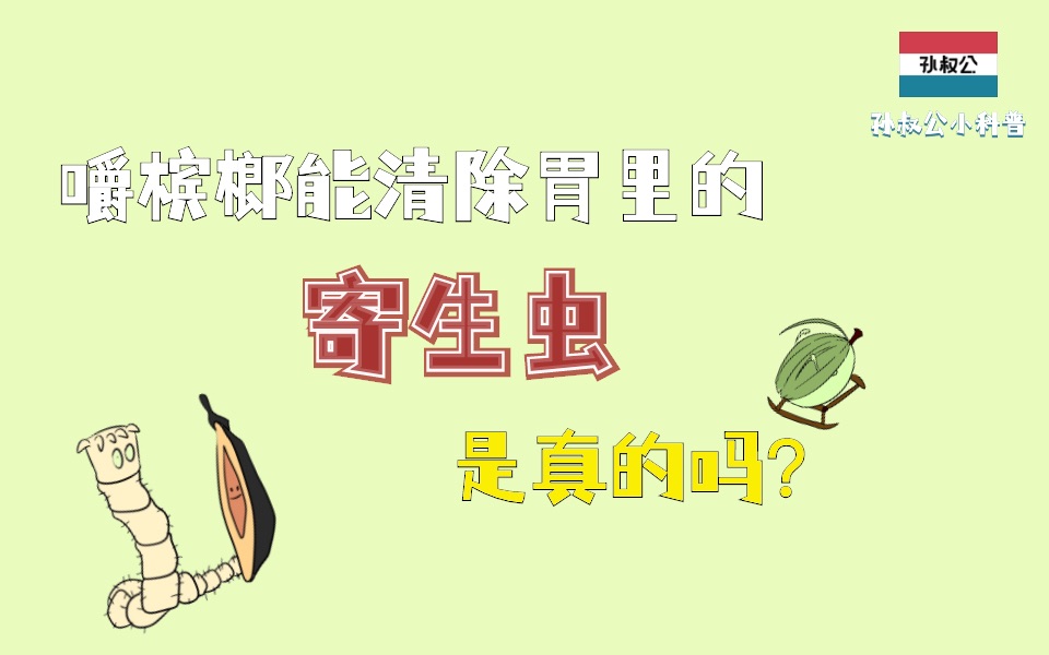 小绾科普|嚼槟榔能清驱绦虫?是真的吗?哔哩哔哩bilibili