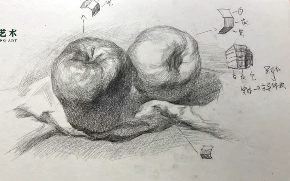 联考90分素描静物基础第六课黑白灰关系