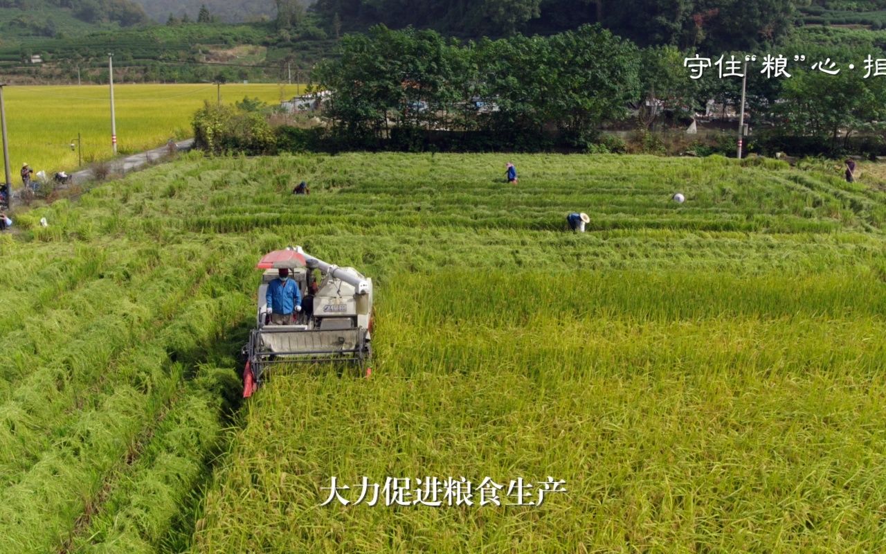 [图]守住“粮”心 拒绝“剩”宴