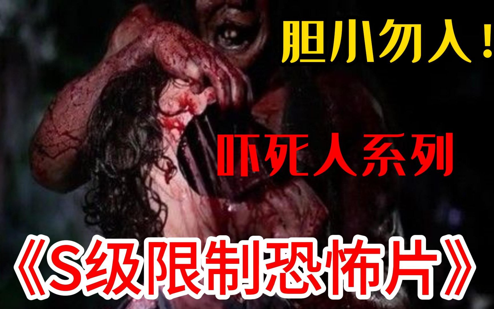 胆小勿入!一口气看完吓死人系列《S级限制恐怖片》高能不断,看完不敢上厕所,再也不孤单了!哔哩哔哩bilibili