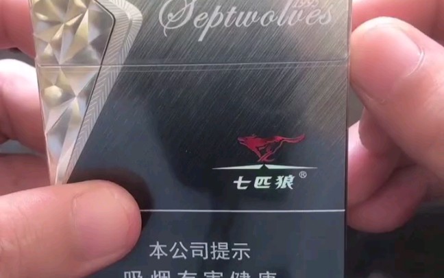 250 口粮中支分享 七匹狼银中支 为璀璨而来