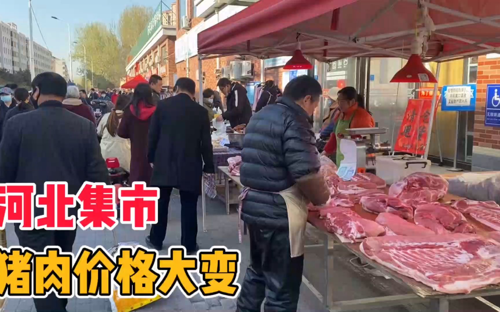 河北集市猪肉价格太吓人,看今日4月15日多少钱一斤?大吃一惊哔哩哔哩bilibili