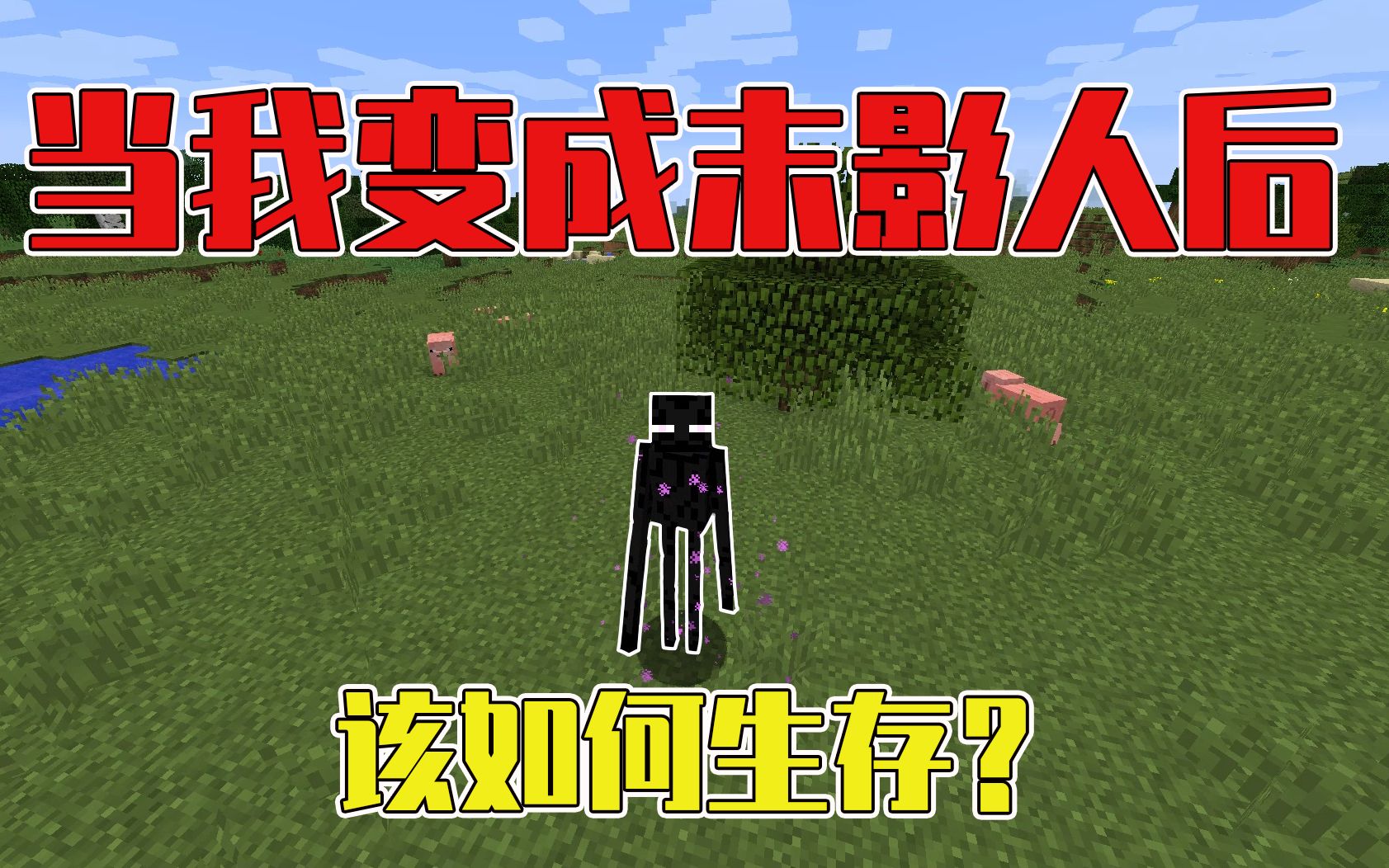 我的世界极限挑战当我变成末影人后该如何生存