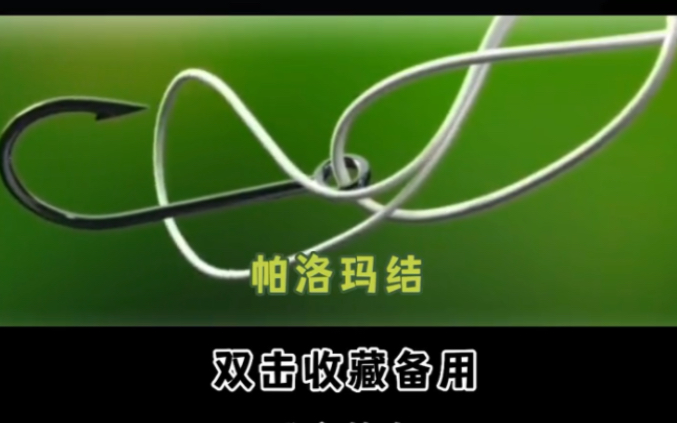 龚磊绑结教学:圣地亚哥jam结和帕洛玛结_哔哩哔哩_bilibili