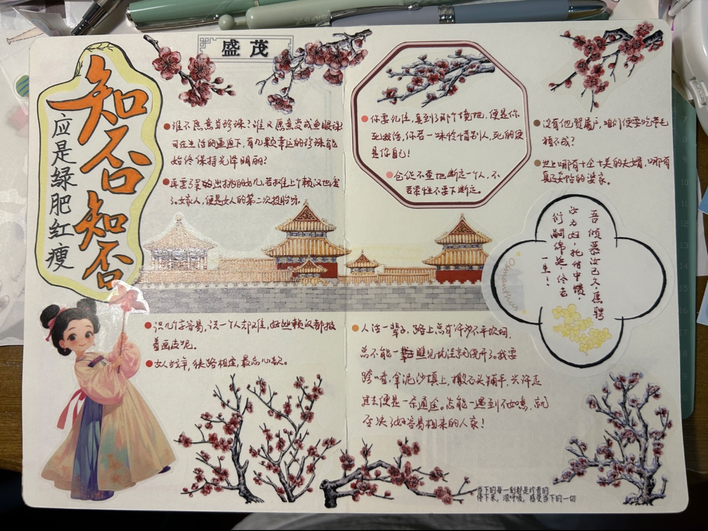 《知否知否应是绿肥红瘦》读书手帐