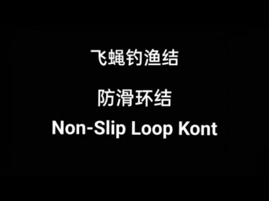 蝇钓渔结,使用环结绑飞蝇钩到子线上 NonSilp Kont 防滑环结的绑法哔哩哔哩bilibili