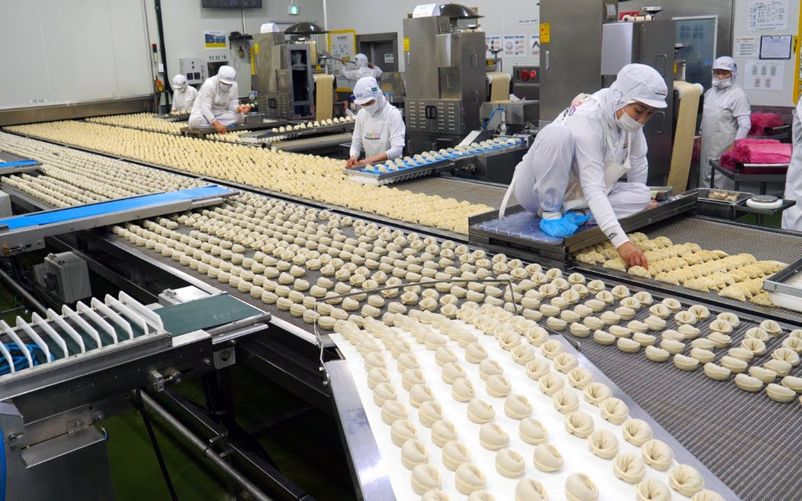 韩国流水线美食:饺子工厂每天生产20吨,全流程自动制作看着很舒适