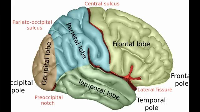 对话心理学系李湄珍教授在疫症下如何应对心理压力及寂寞