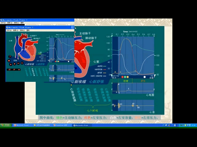 心脏生理及正常心脏超声心动图哔哩哔哩bilibili