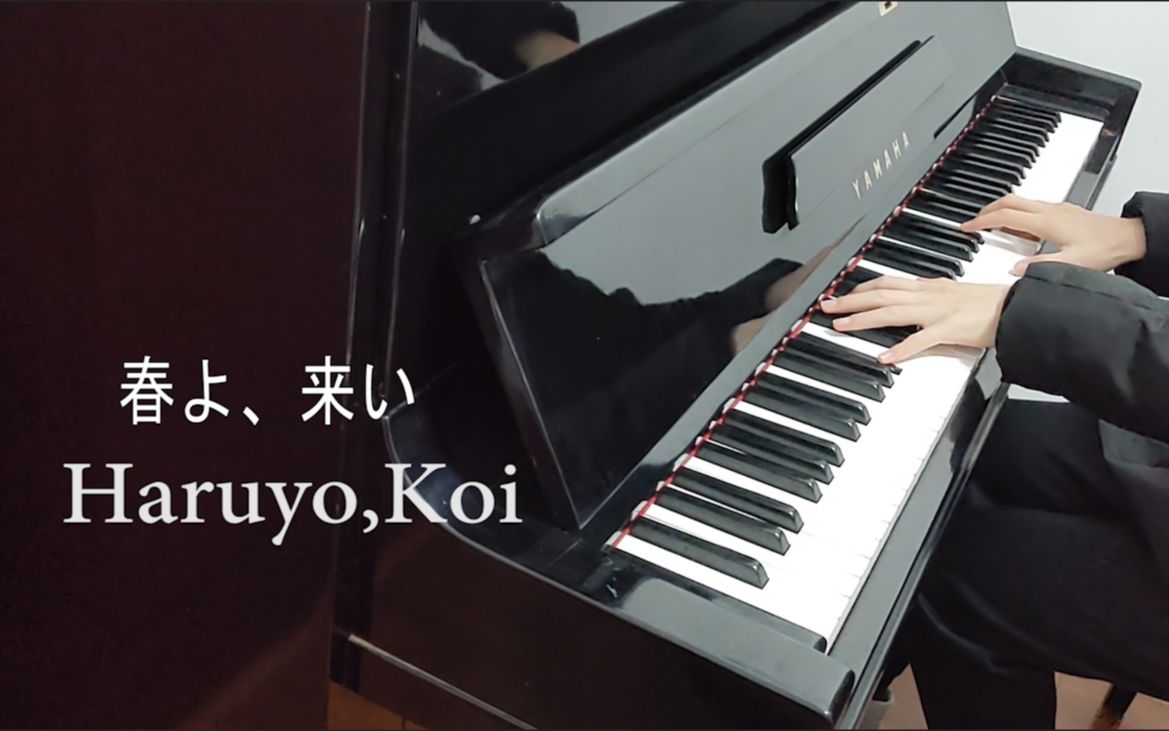 haruyo,koi钢琴谱图片