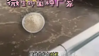 #上热门 你不知道的？菌种最好的投加时机#微生物菌种#污水处理#好养菌#厌氧菌