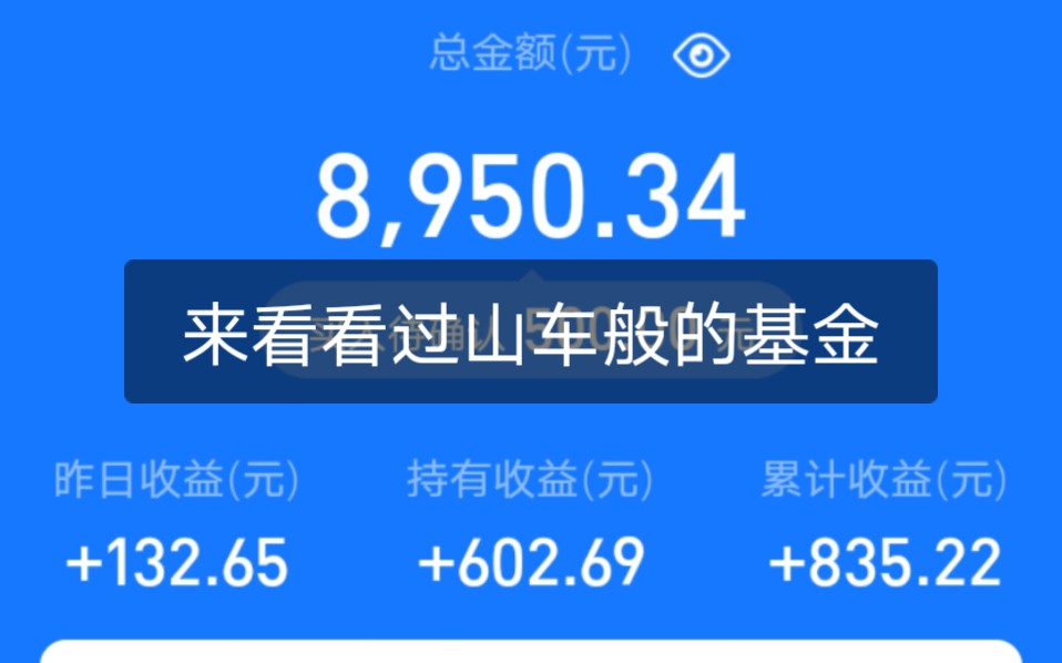 【基金】今日支付宝+微信收益约90,这基金走势就是过山车啊!哔哩哔哩bilibili