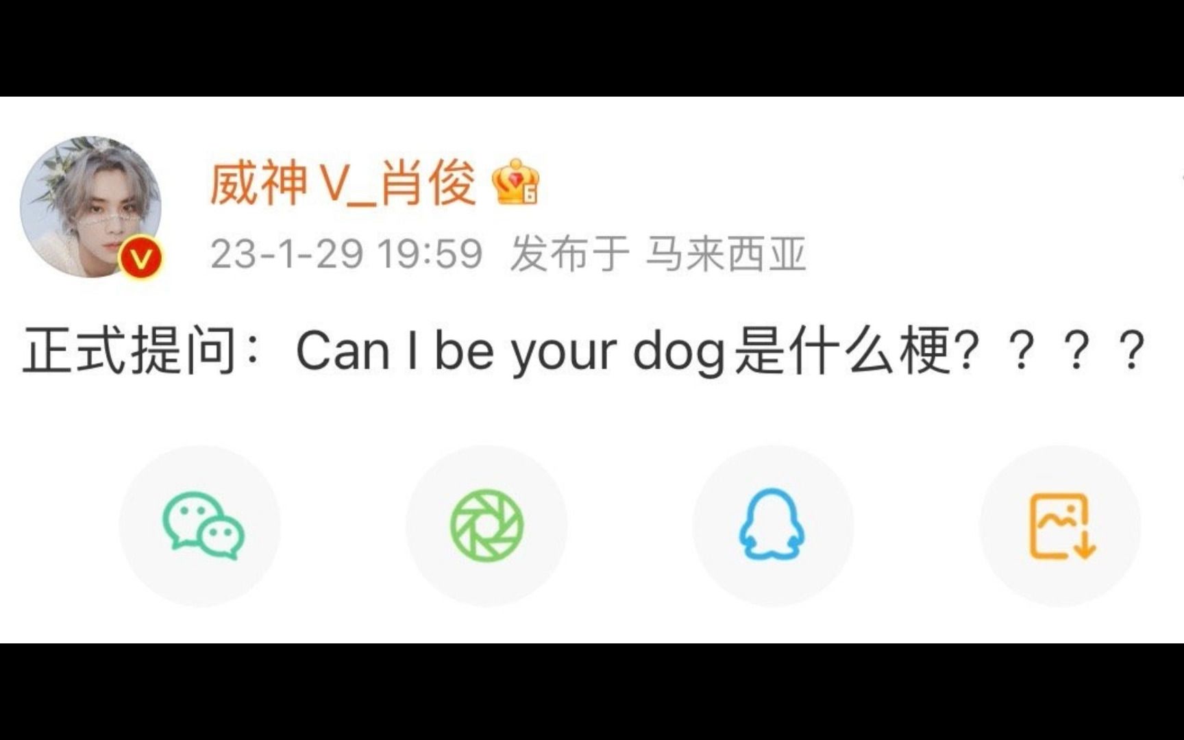 时隔一年 肖俊又来提问Can I be your dog是什么意思了哔哩哔哩bilibili