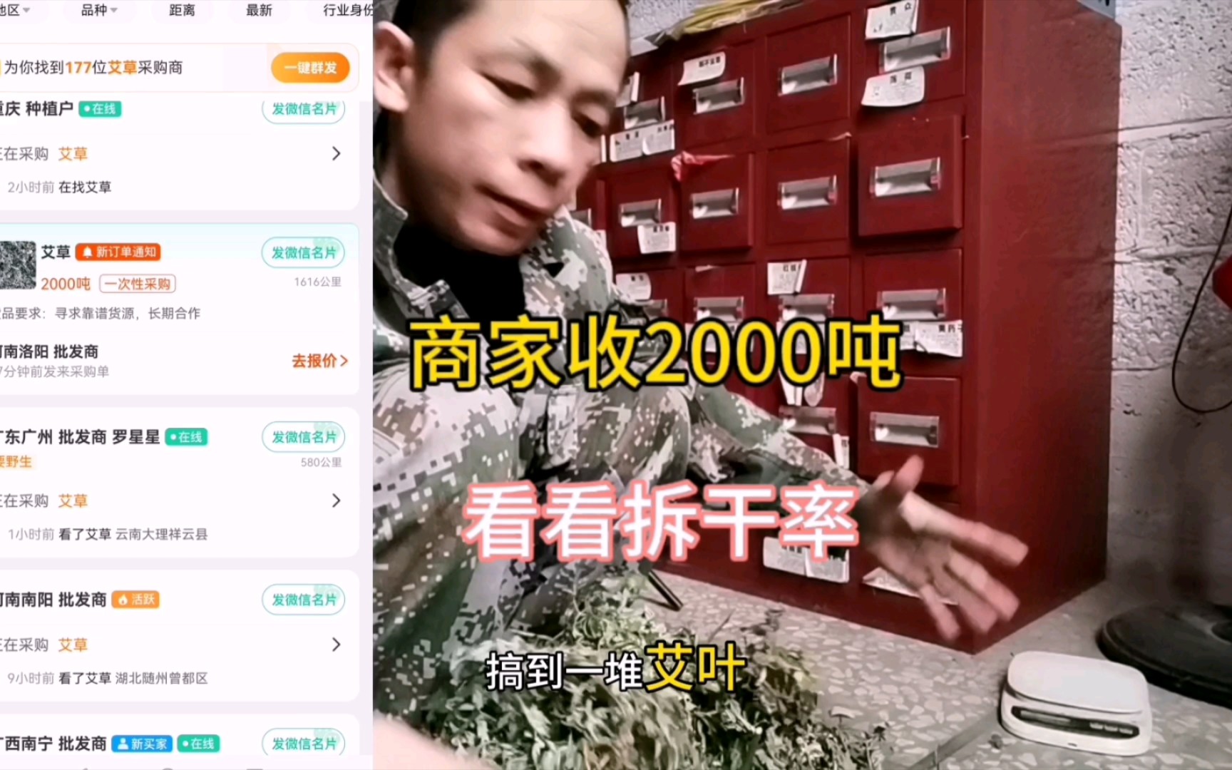 商家收2000吨艾叶,雄起搞一堆,看看拆干率哔哩哔哩bilibili