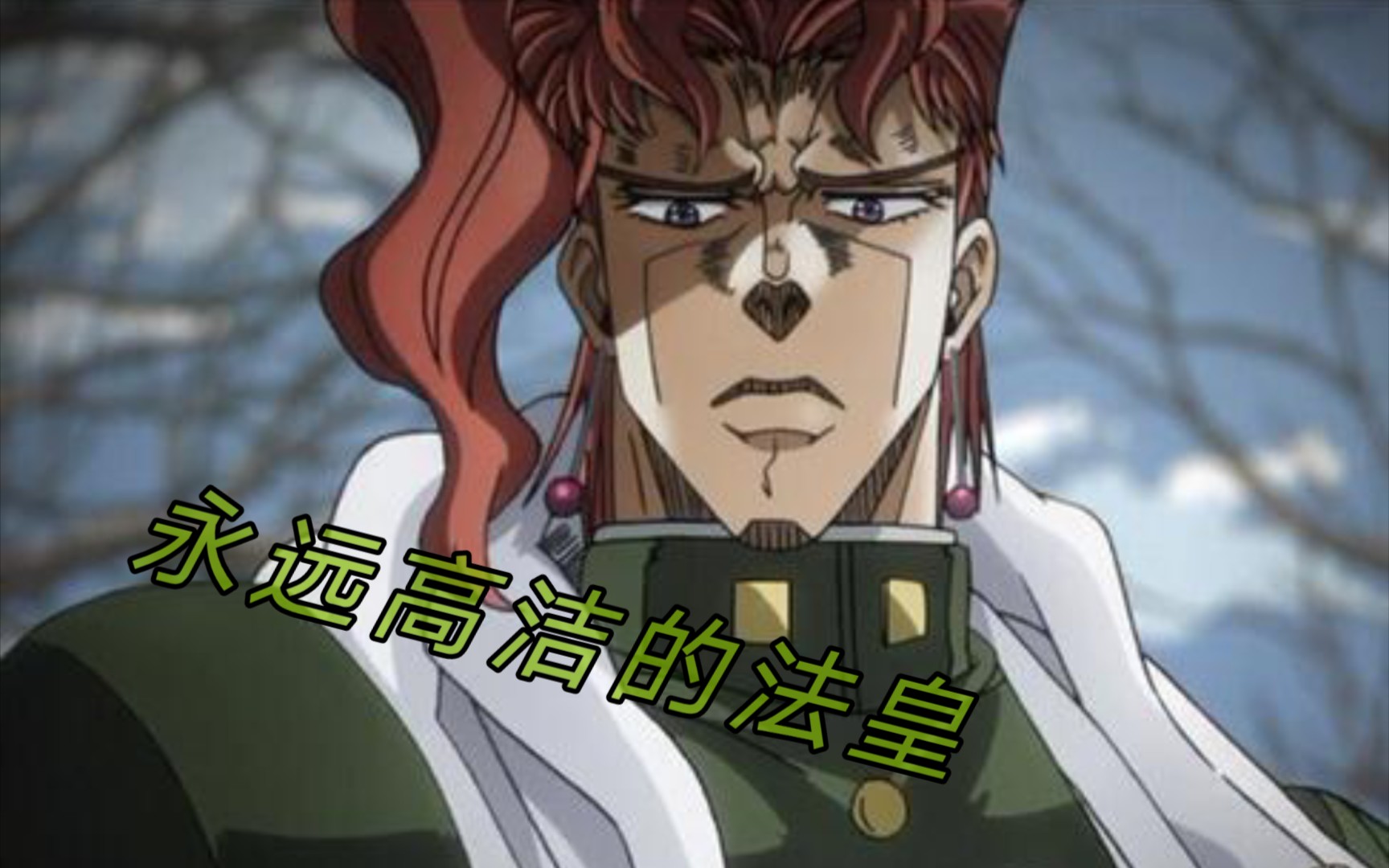 【jojo/花京院典明】致永遠高潔的法皇綠寶石水花!_嗶哩嗶哩_bilibili