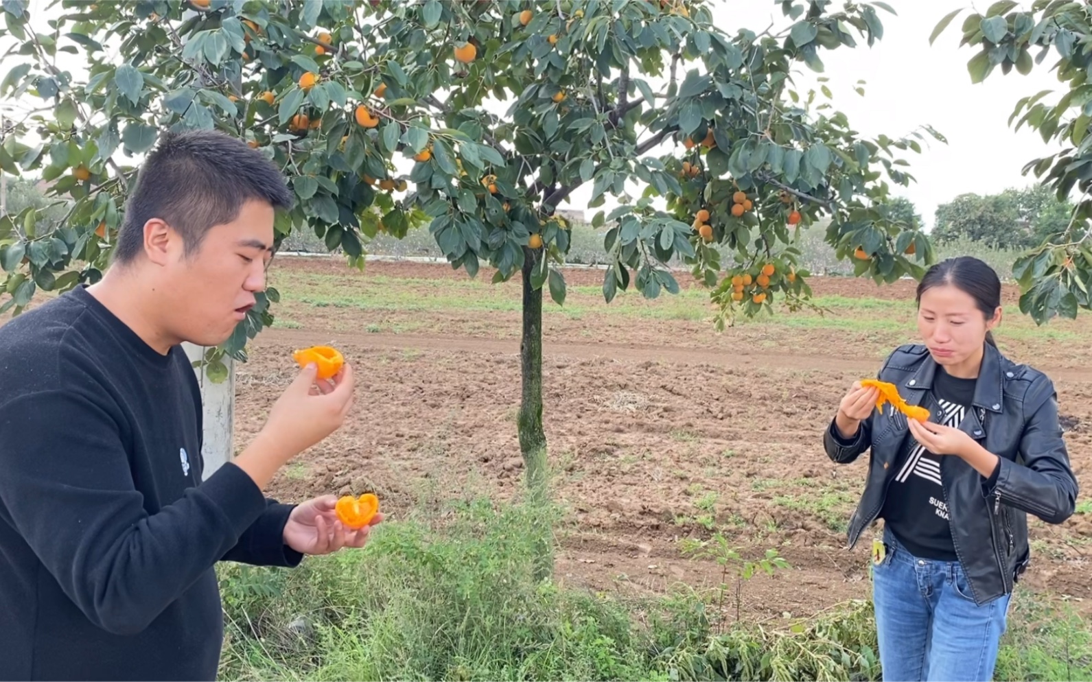 [图]陕西关中物产丰饶，瓜果飘香，外地的姑娘们块嫁到这里来吧，来了享口福